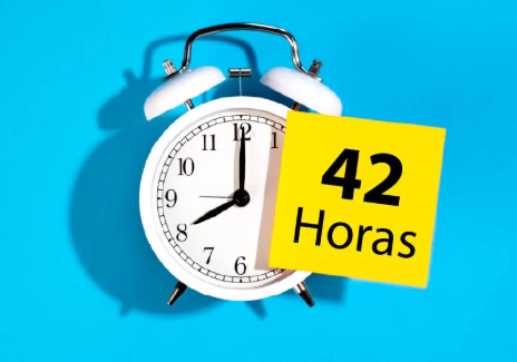 captura de pantalla 2026 08 22 170734